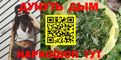 молекула духа Чебоксары