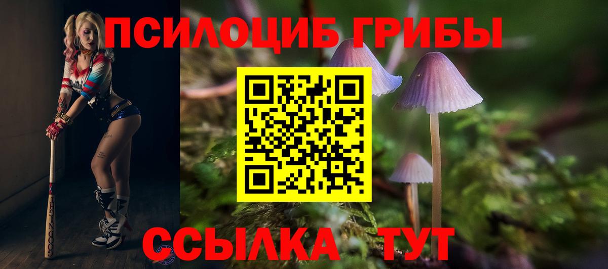 Псилоцибиновые грибы Magic Shrooms Нягань