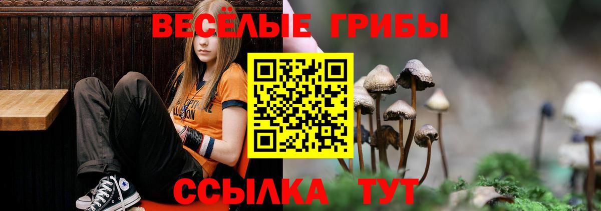 Нягань  Галлюциногенные грибы Psilocybine cubensis  Вход с VPN  Псилоцибиновые грибы ЛСД 